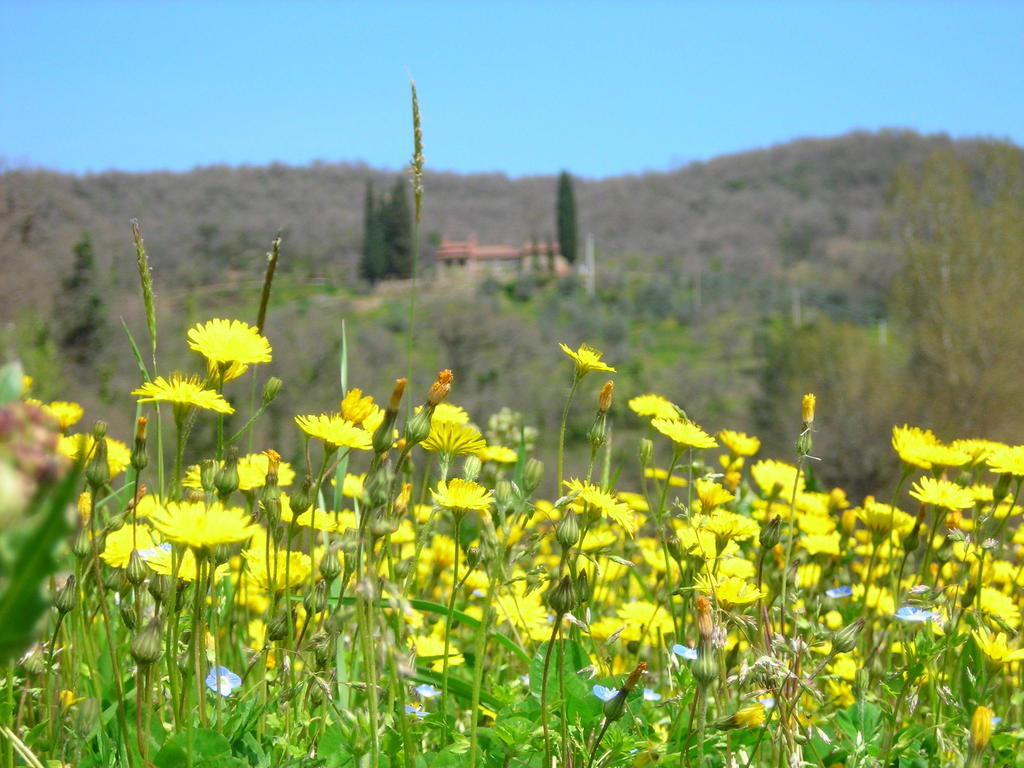 Allegro Agriturismo Argiano Arezzo Luaran gambar
