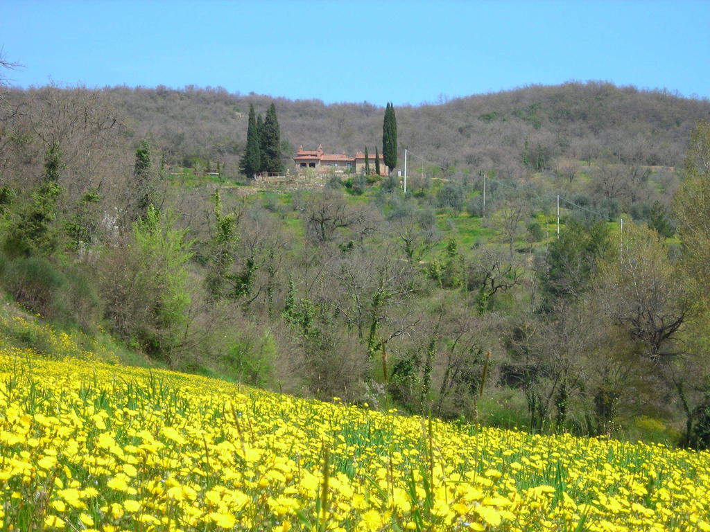 Allegro Agriturismo Argiano Arezzo Luaran gambar
