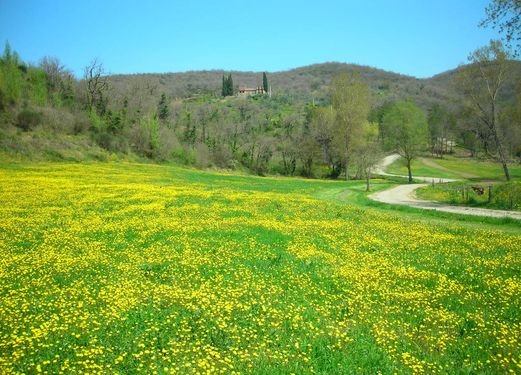 Allegro Agriturismo Argiano Arezzo Luaran gambar